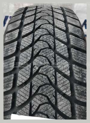 Delinte Winter WD1 235/50 R19 99H