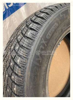 Triangle IcelynX TI501 225/55 R16 99T